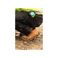 Amblers Safety FS226 Industrial Safety Boot